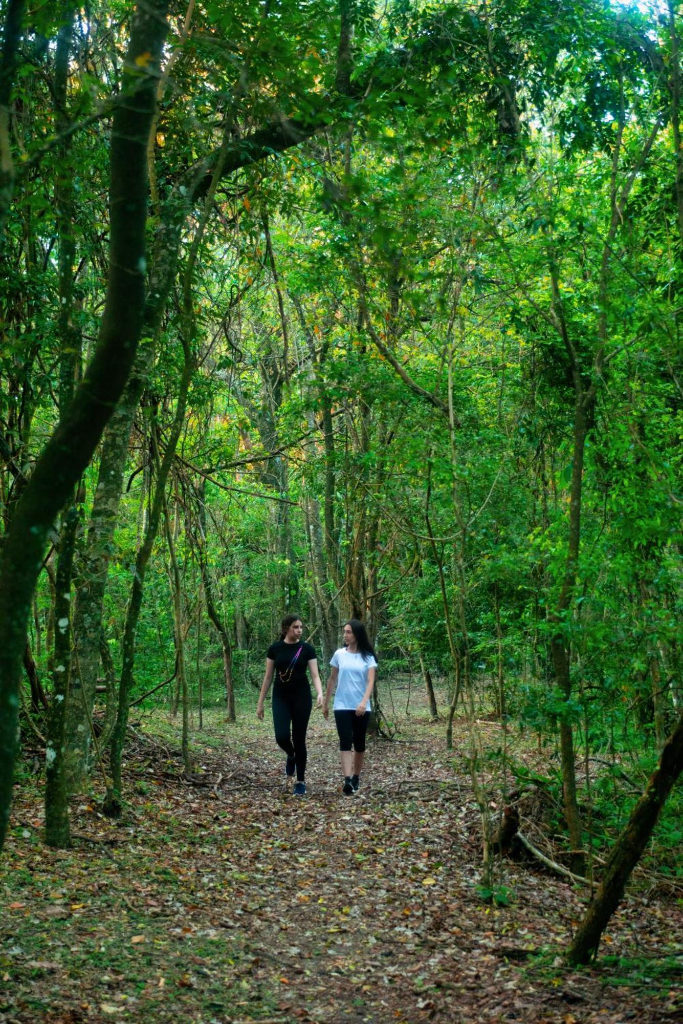 Vista Alegre Natural Resort - Bungalows Independencia ภายนอก รูปภาพ
