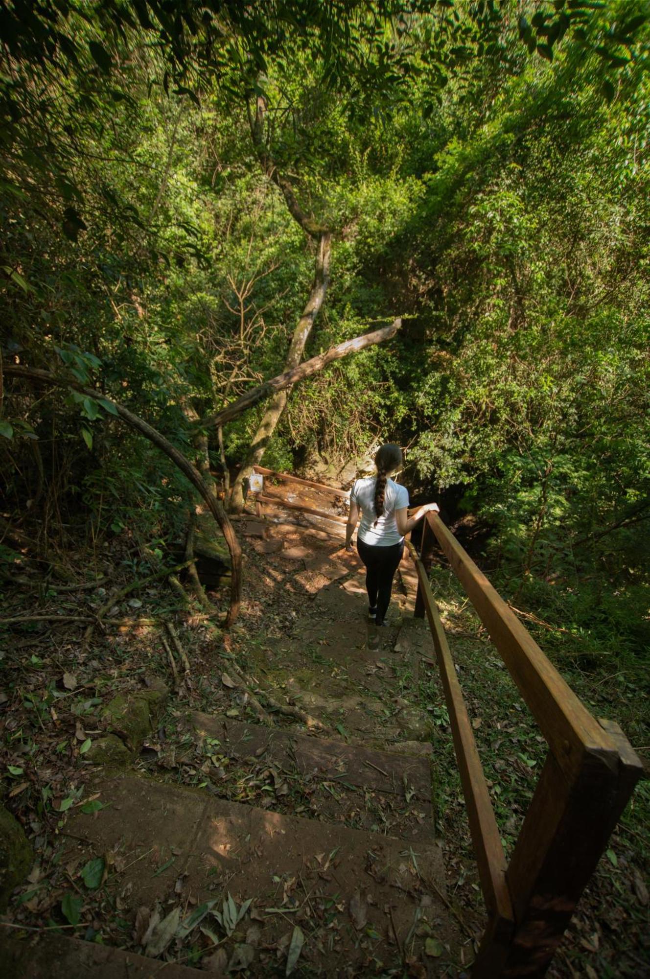 Vista Alegre Natural Resort - Bungalows Independencia ภายนอก รูปภาพ